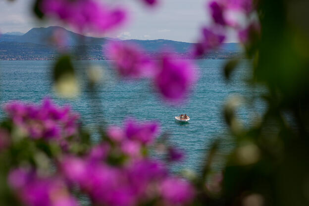 Boating